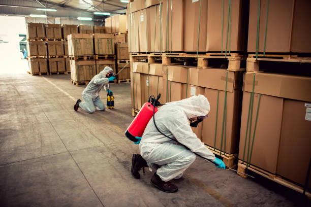 Best Emergency Pest Control  in Florence, AZ