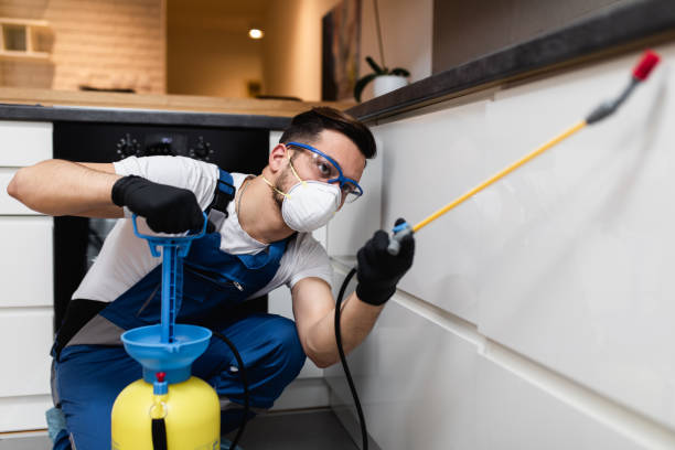 Best Bed Bug Extermination  in Florence, AZ