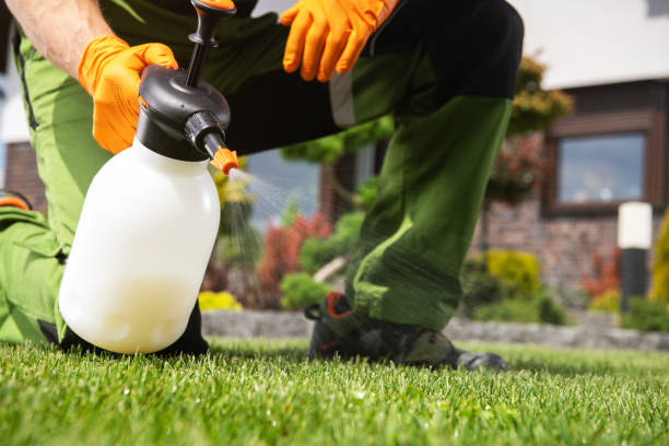 Pest Control for Restaurants in Florence, AZ