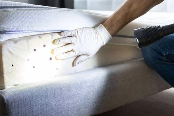Best Pest Control Near Me  in Florence, AZ