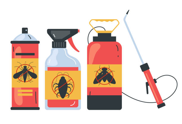 Best Insect Control  in Florence, AZ